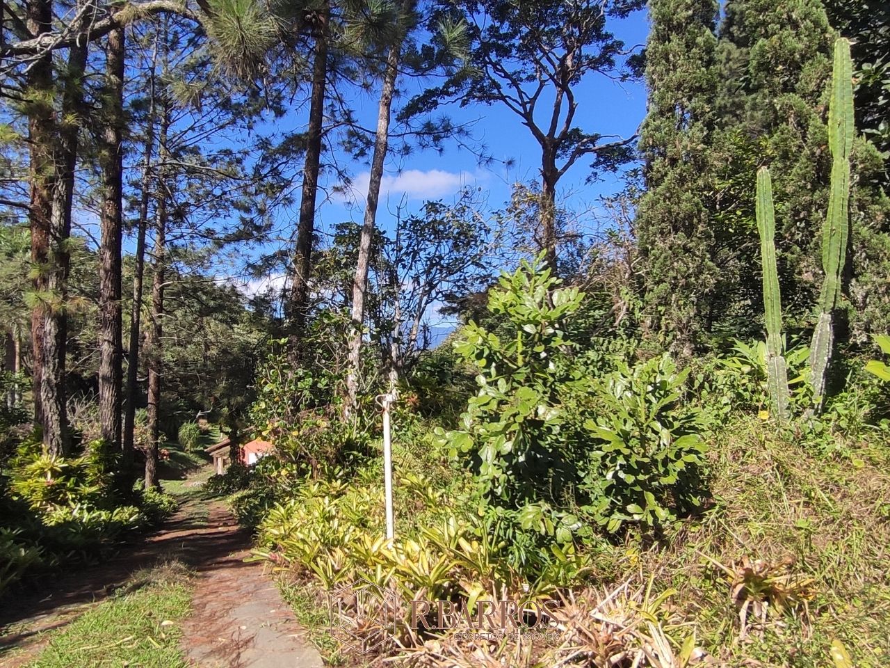 Residencial - Propriedade com ampla área verde e tranquilidade | Código:ST0011