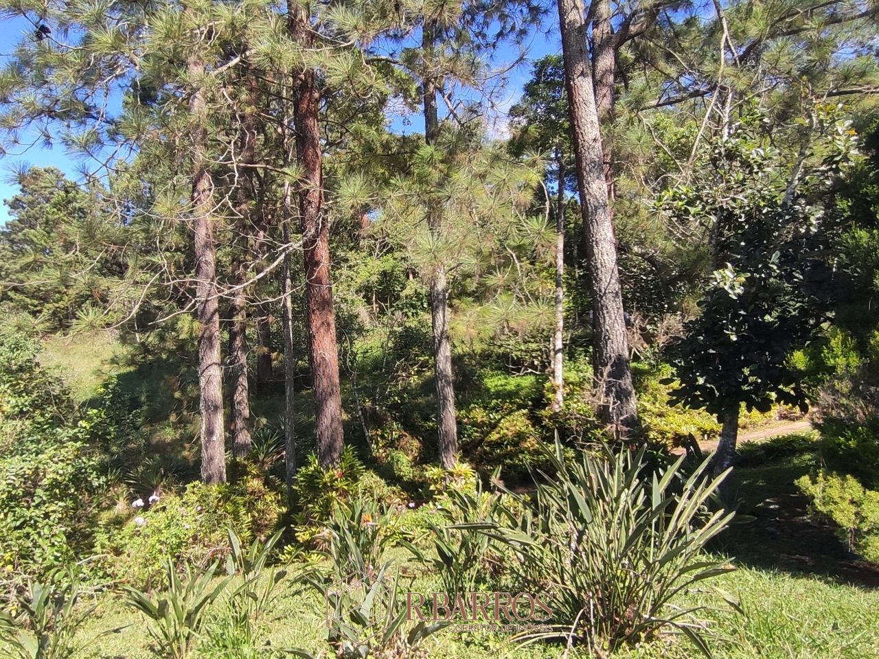 Residencial - Propriedade com ampla área verde e tranquilidade | Código:ST0011