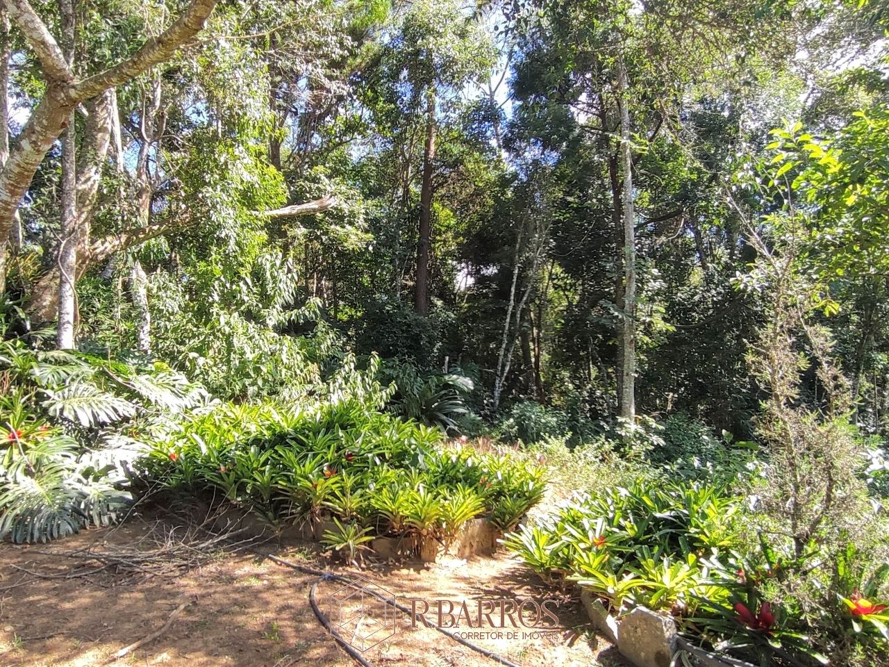 Residencial - Propriedade com ampla área verde e tranquilidade | Código:ST0011