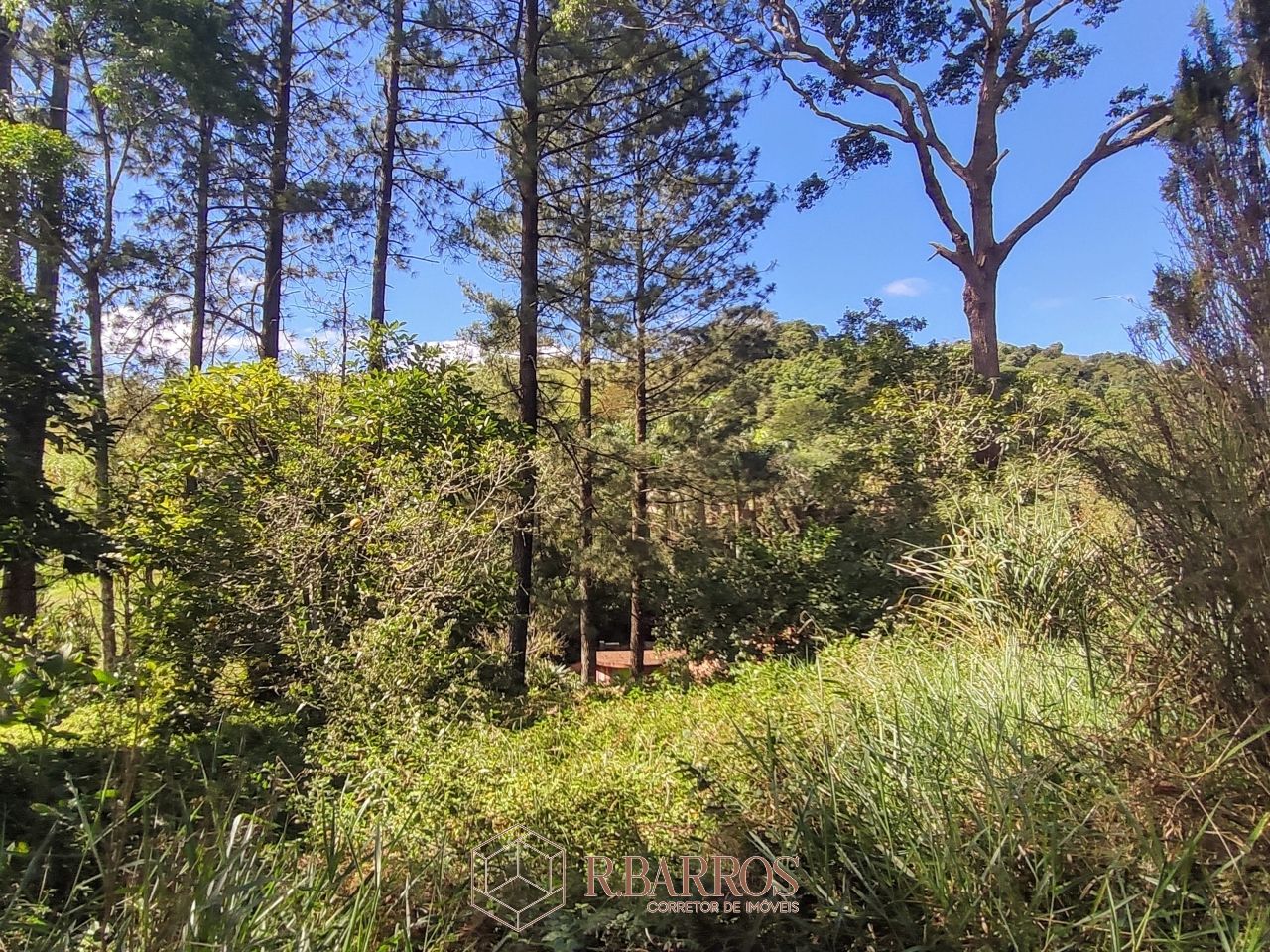 Residencial - Propriedade com ampla área verde e tranquilidade | Código:ST0011