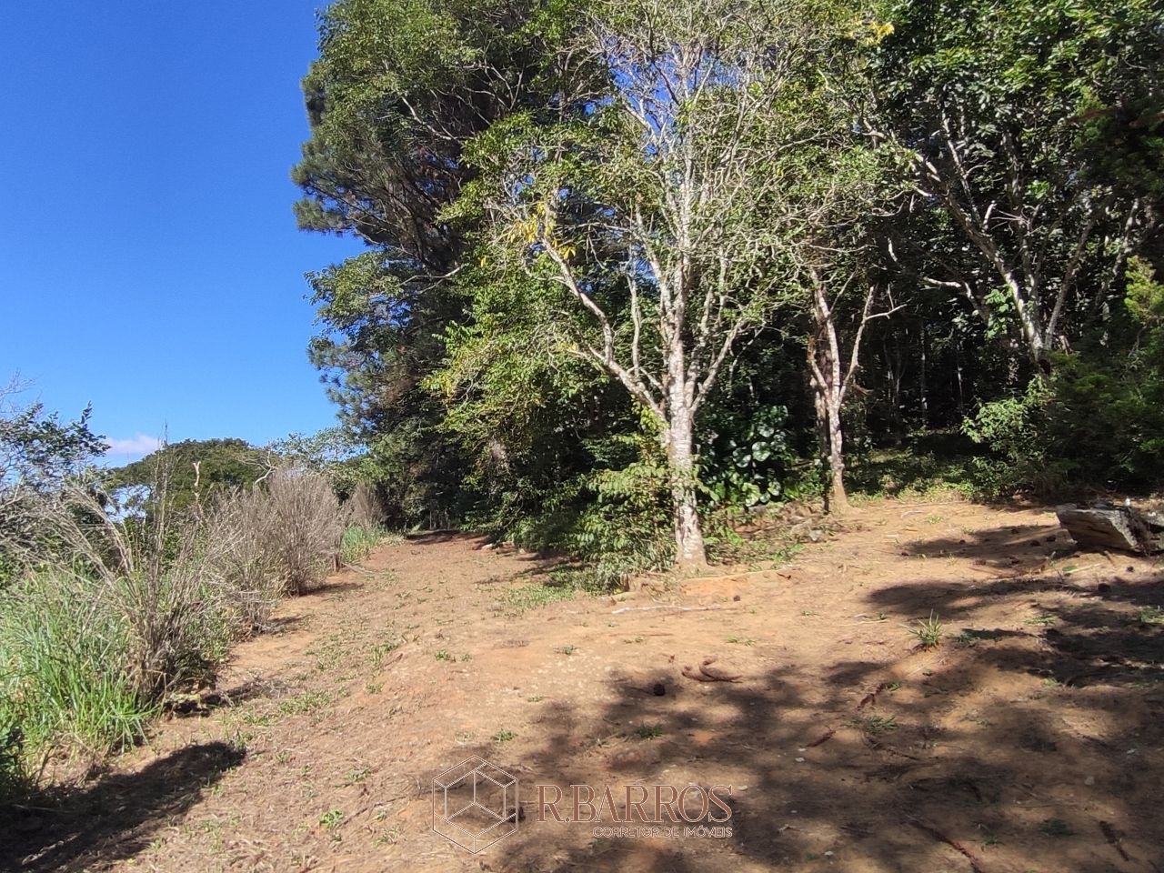 Residencial - Propriedade com ampla área verde e tranquilidade | Código:ST0011