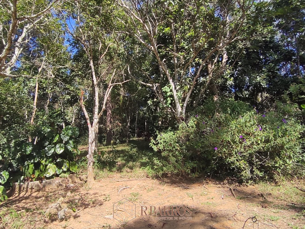 Residencial - Propriedade com ampla área verde e tranquilidade | Código:ST0011