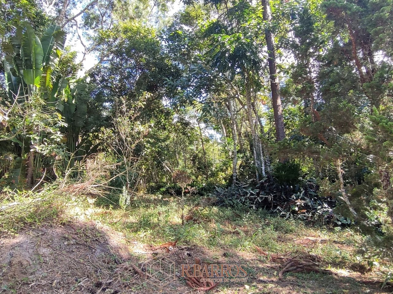 Residencial - Propriedade com ampla área verde e tranquilidade | Código:ST0011