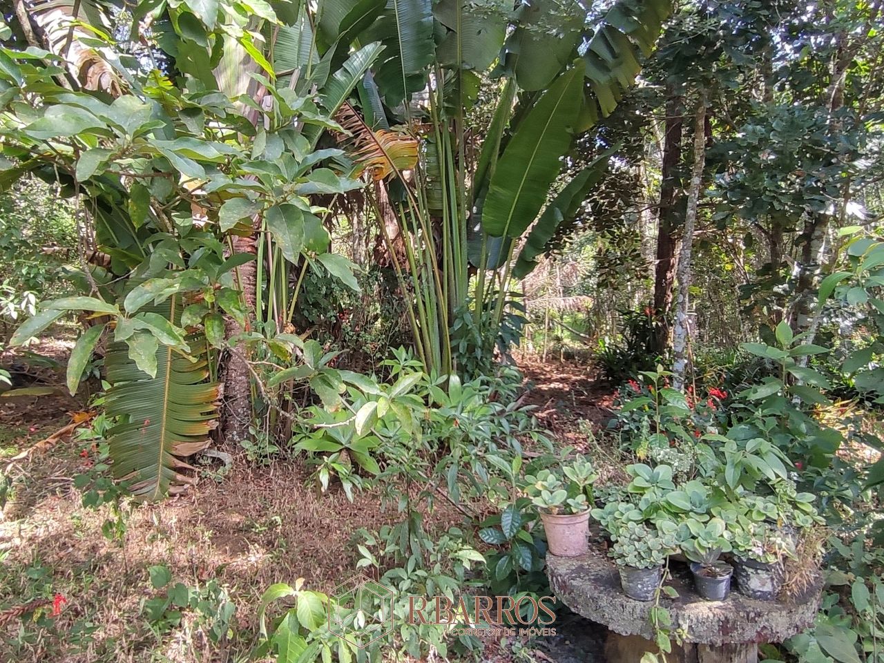 Residencial - Propriedade com ampla área verde e tranquilidade | Código:ST0011