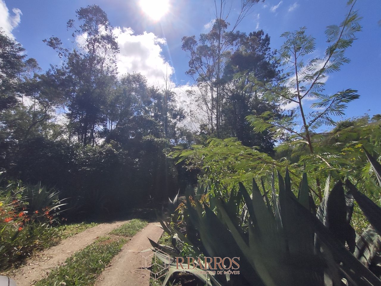 Residencial - Propriedade com ampla área verde e tranquilidade | Código:ST0011