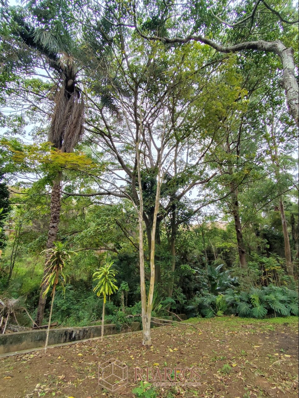 Residencial - Refúgio, Tradição e Conforto em Meio à Natureza | Código:ST013-2025