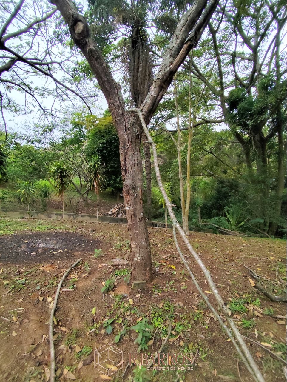 Residencial - Refúgio, Tradição e Conforto em Meio à Natureza | Código:ST013-2025